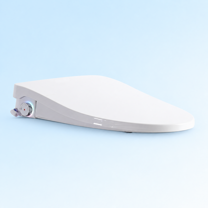Smart Heated Bidet Toilet Seat with Remote and Side Control